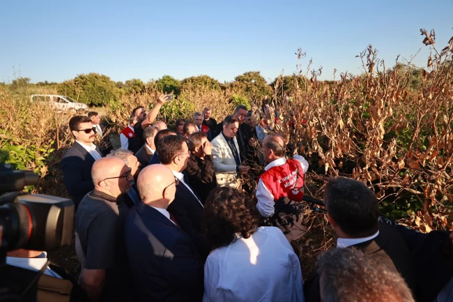 Mersin'de narenciye bahçelerine 'zirai don' incelemesi