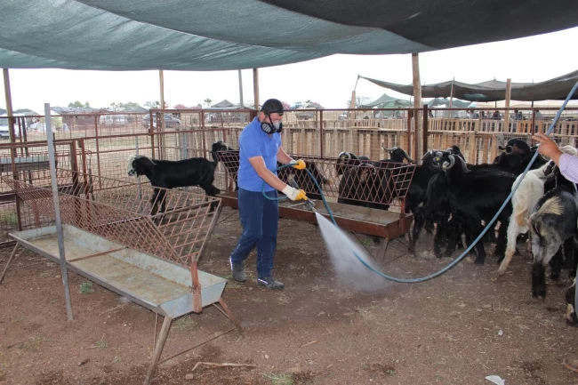 Antalya'da bayram öncesi yoğun ilaçlama