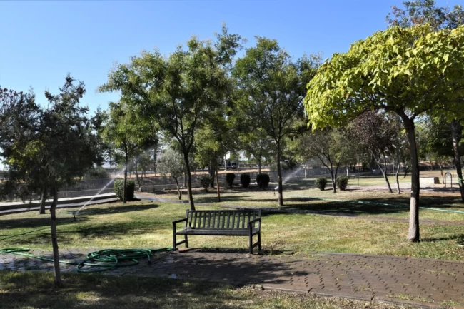 İzmir Bornova'dan 'Yeşil Dönüşüm' hamlesi