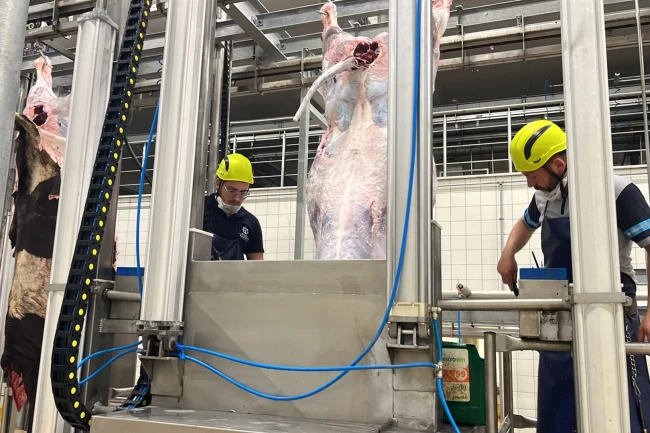 Kocaeli'den uyarı... Sakatatları açık halde çöpe atmayın