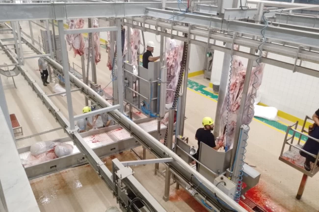 Kurbanlar Kocaeli'nin modern mezbahasında kesiliyor