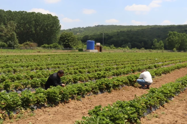 Kocaeli İzmit'te genç girişimcilere destek