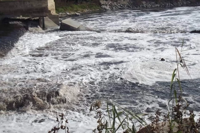 Ergene Nehri'ndeki kirlilik çevre felaketine dönüştü