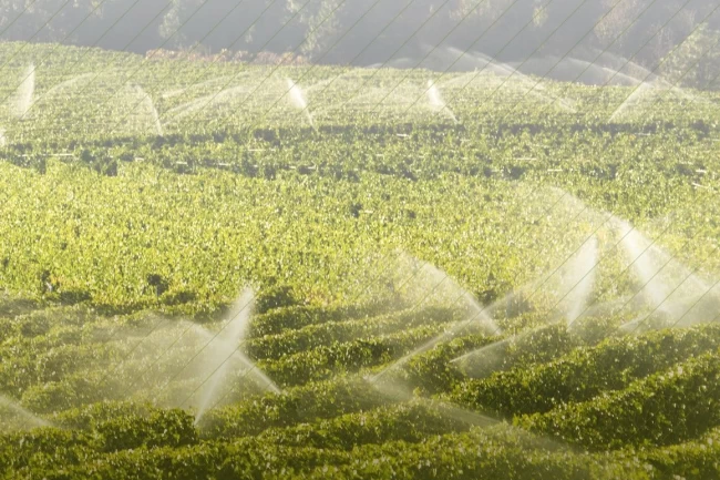 7 bin 160 tarımsal projeye 10,2 milyar TL'lik hibe