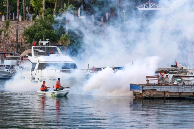 Antalya'nın her köşesinde vektörle mücadele