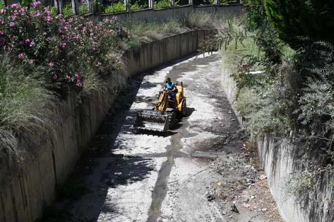 Manisa'da Bozköy Deresi hayat buluyor