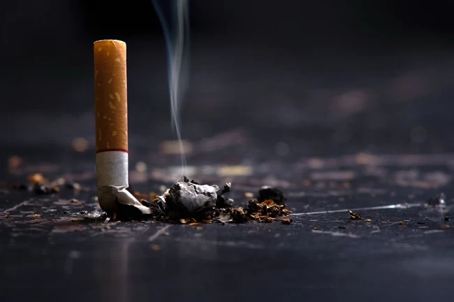 Yol kenarına atılan izmaritler yangına davetiye çıkarıyor