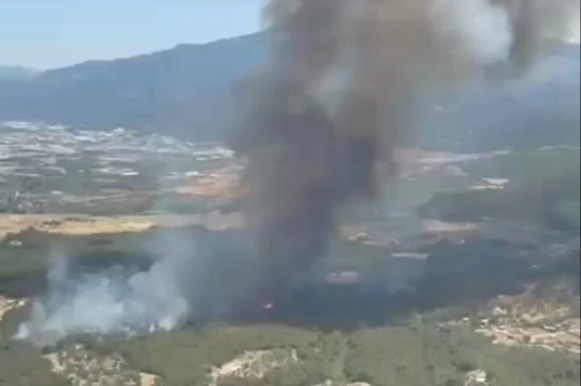 İzmir Bornova Yakaköy'de orman yangınına hızlı müdahale