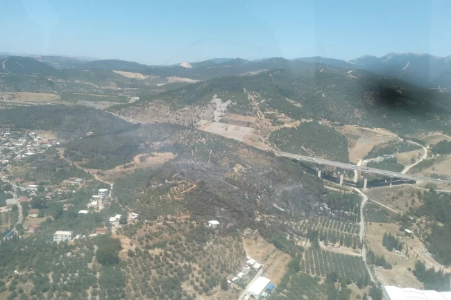 Bursa Osmangazi'de orman yangını hızlı müdahalelerle kontrol altına alındı