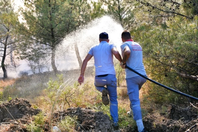 Yakaköy'deki orman yangınına Bornova'da anında müdahale