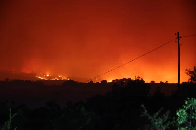 Bilecik'te korkutan orman yangını
