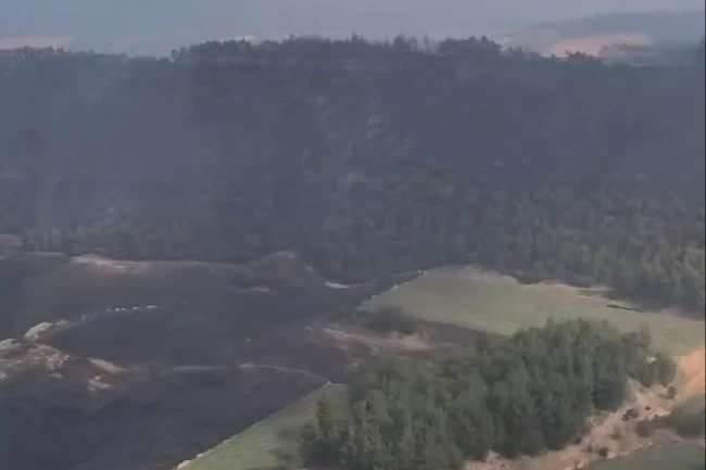 Bolu ve Bilecik'te yangınlar kontrol altında! Sakarya ve Manisa'dan sevindirici haberler bekleniyor