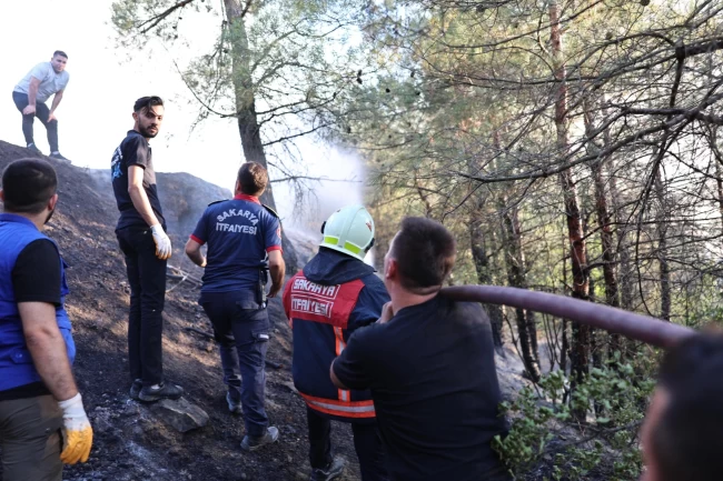 Sakarya'daki orman yangını kontrol altında: 3 gözaltı!