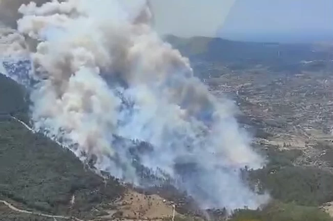 İzmir Menderes'te orman yangını... Havadan ve karadan müdahale sürüyor