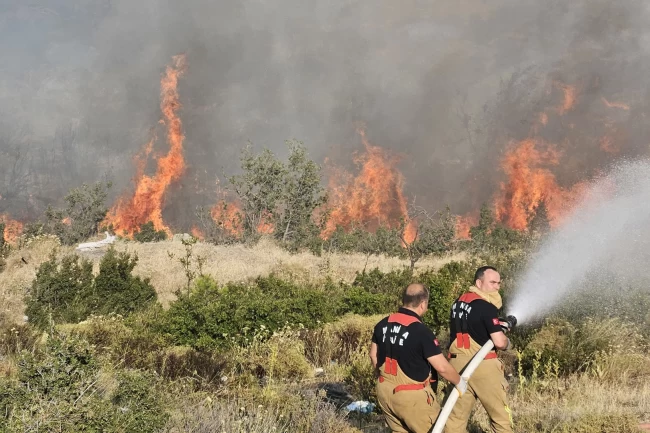 Manisa Büyükşehir Akhisar'daki yangın bölgesinde