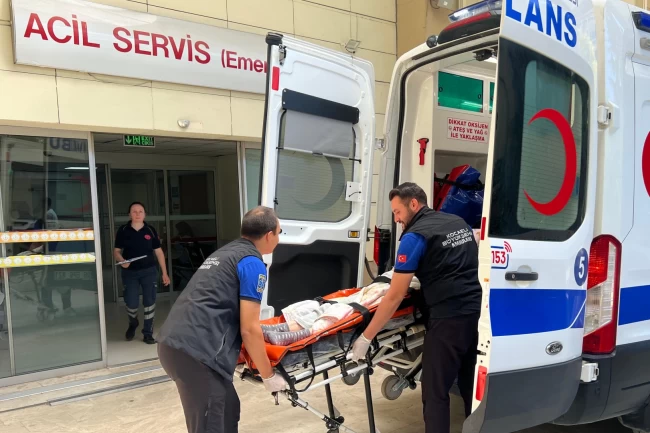 Kocaeli Büyükşehir'den 4 saatte 135 hasta transferi