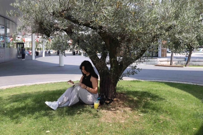 İzmit'in yeni cazibe noktası: Milli İrade Meydanı hayat buldu