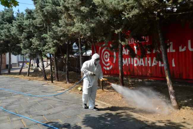 Kene ve haşerelerle mücadele için ilaçlama çalışmaları başladı