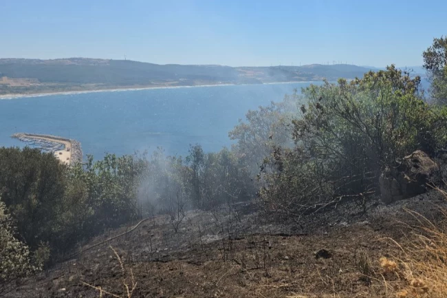 Mudanya kırsalında yangın! Buğday tarlası son anda kurtarıldı