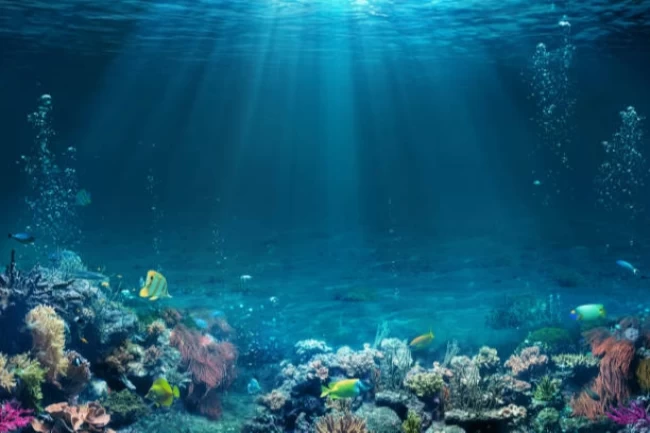 Türkiye'nin ilk dijital su altı haritası hazırlanıyor