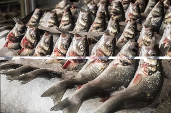 Su ürünlerinde 24 ihracat şampiyonunun 13'ü Egeli