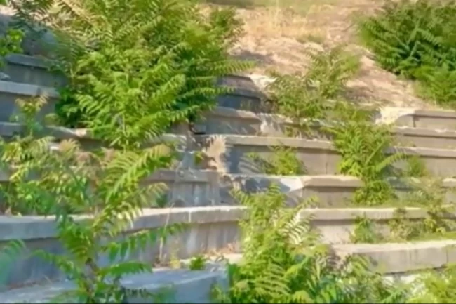 Vize Antik Kenti ilgisizlikle yok oluyor! Tarihi miras için acil çağrı!