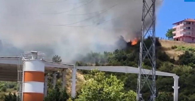 Kdz.Ereğli Organize Sanayi Bölgesi'nde orman yangını çıktı