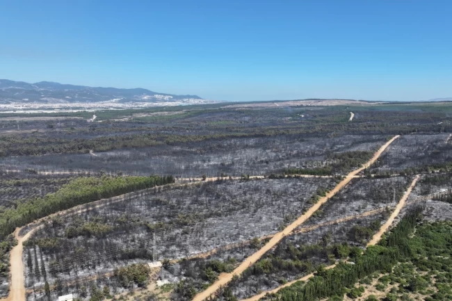 İzmir'de yangınlara karşı olağanüstü yol haritası belirlendi