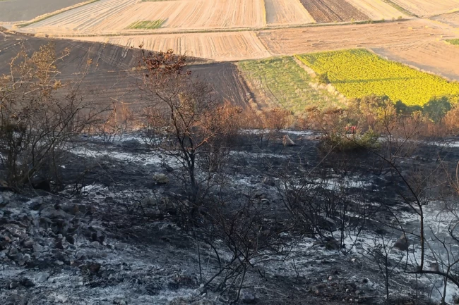 Bursa Karacabey'de orman yangını: 500 dönüm zarar gördü