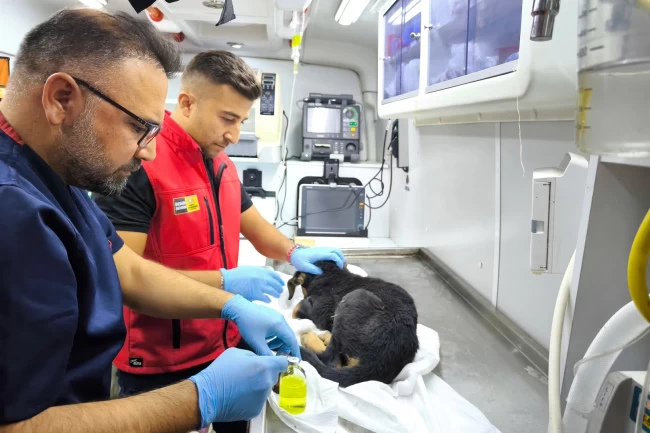 Konya İtfaiyesi'nden yürekleri ısıtan kurtarma operasyonu