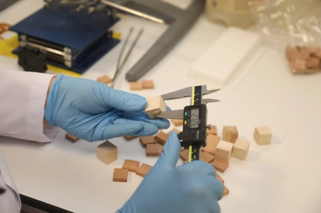 BTÜ'den yerli odun türlerini mobilya ve yapı sektörüne kazandıracak proje