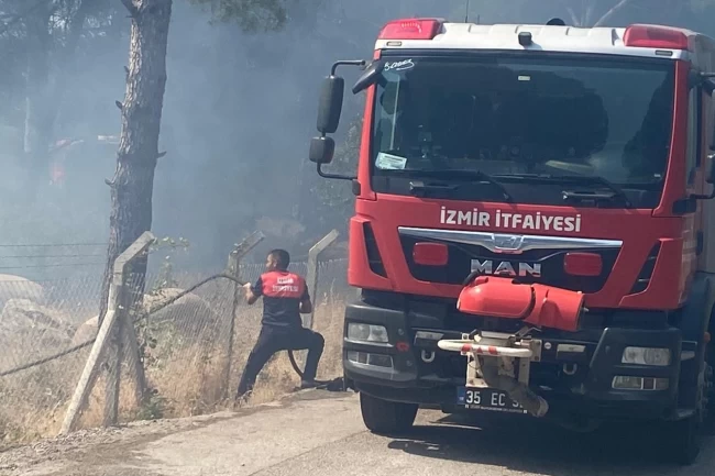 İzmir Bergama'da orman yangınına müdahale ediliyor