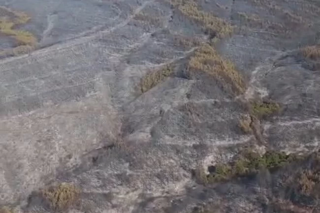 Tekirdağ Şarköy'deki yangın kontrol altında