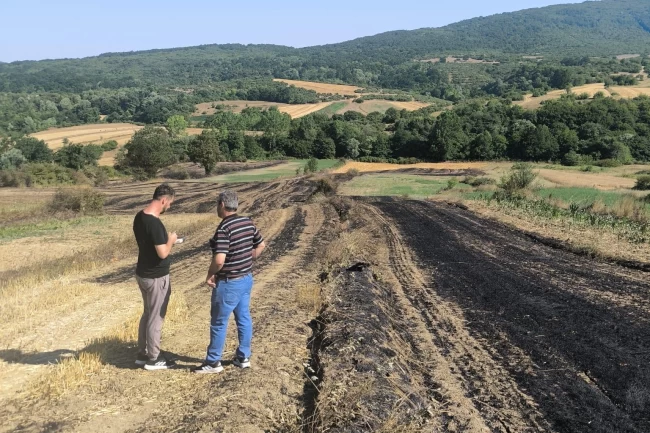 Yangında zarar gören çiftçilere Kocaeli'de tohum desteği
