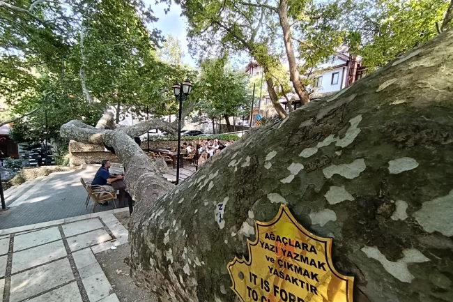 Osmanlı'dan günümüze... Bursa İnkaya'da görkemli gölge