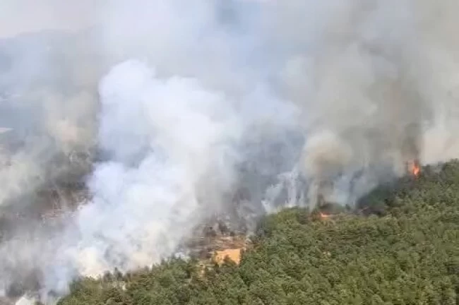 Uşak ve İzmir Bergama'da yangınlara müdahale sürüyor