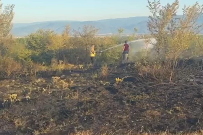 Düzce Konuralp'te örtü yangını kontrol altında