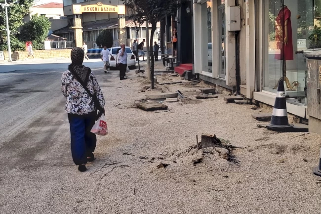 Edirne Keşan'da kaldırım için ağaç kesimine tepki!