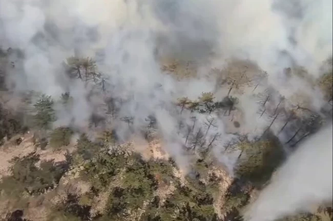 Eskişehir'de orman yangını... Müdahale sürüyor