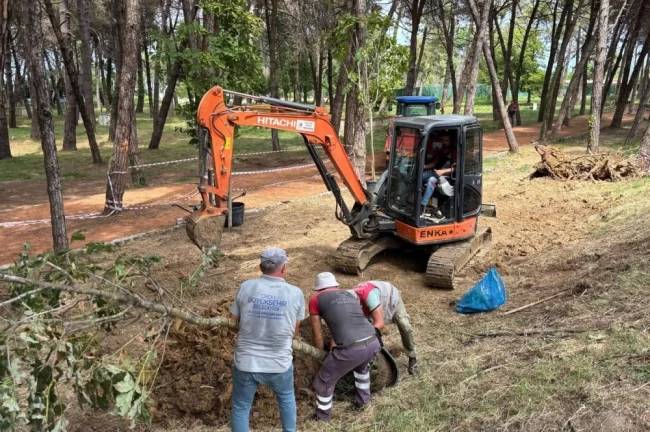 Ordu Ünye Çamlık'ta doğa yenileniyor