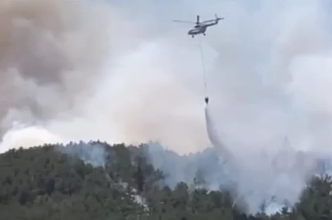 Sakarya ve Eskişehir'deki yangınlarda son durum