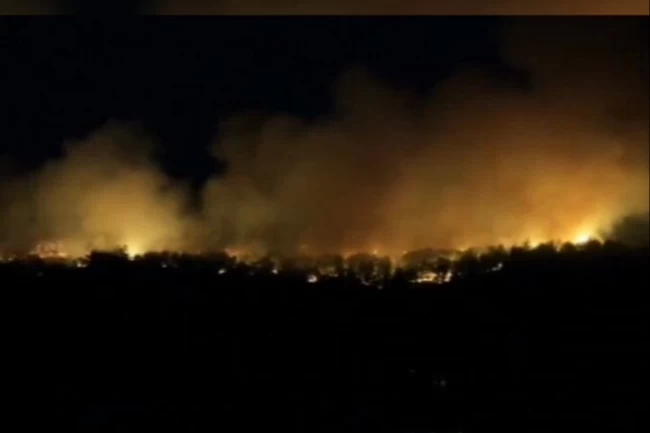 Orman'dan 22 Temmuz raporu: Müdahale edilen 54 yangından 51'i kontrol altında