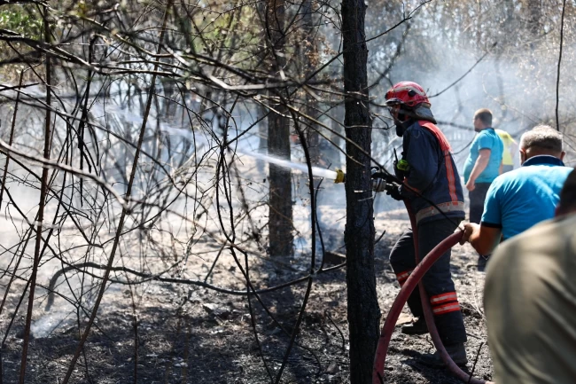 Sakarya İtfaiyesi yangın bölgelerinde tüm gücüyle müdahalede