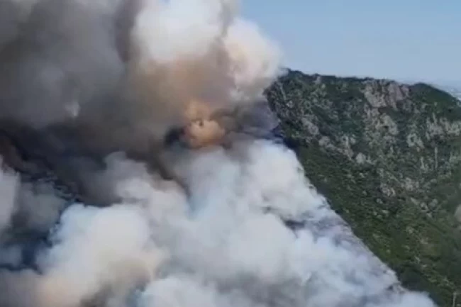 Sakarya Geyve'de orman yangınına yoğun müdahale