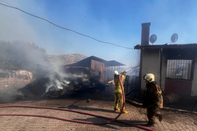 İzmir Bayındır'da ot yangını yerleşimi tehdit etti... 100 kişi tahliye edildi