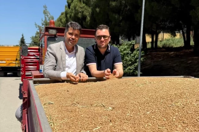 TMO 25 bin ton buğday aldı