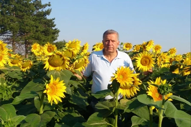 CHP'li Oğuz'dan Trakya'da ayçiçeği alarmı!