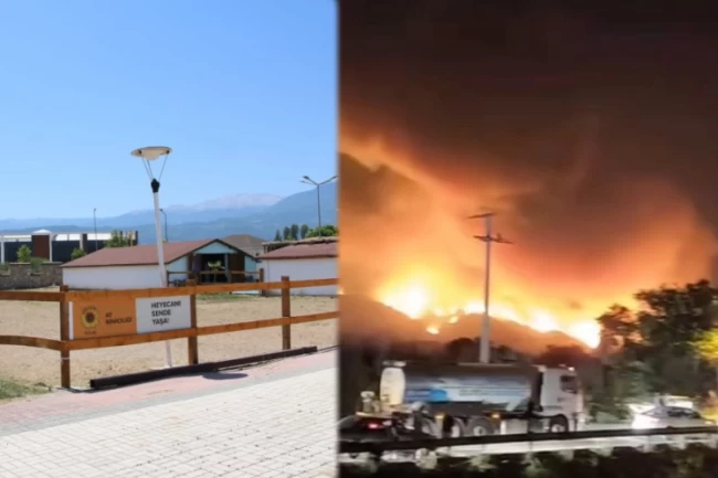 Bursa'da yangından etkilenen hayvanlara el açtılar