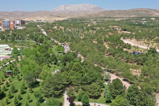 Konya Dutlu Millet Bahçesi'nde ateşli piknik yasaklandı