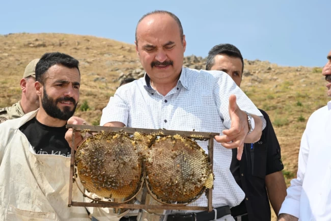 Batman Sason'da bal hasadı coşkusu